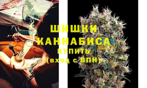 ECSTASY Елизово
