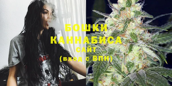 ECSTASY Елизово