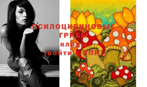 ECSTASY Елизово