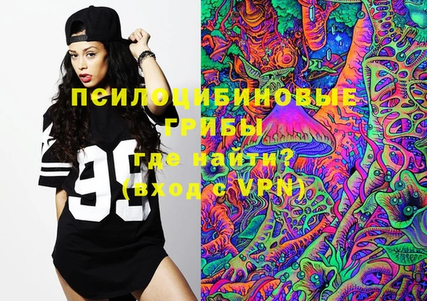 ECSTASY Елизово